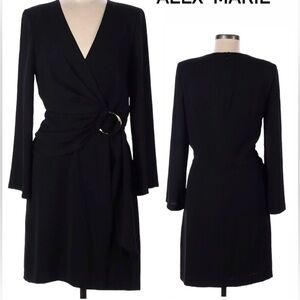 ALEX MARIE DRESS NWT SIZE 14P